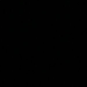 Meet your Posher, Alan